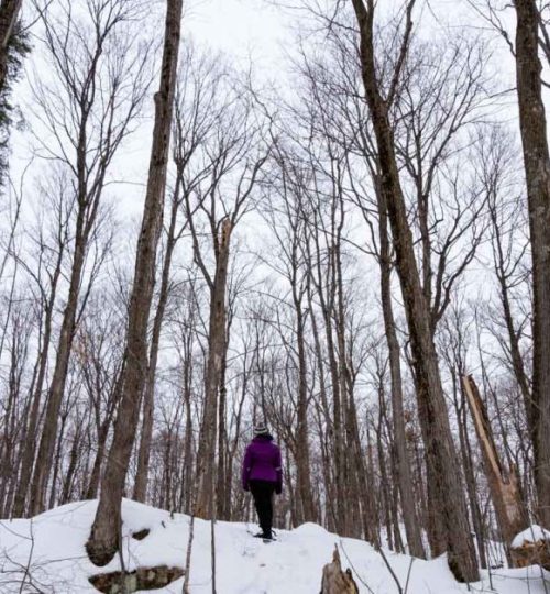 Gatineau-Park-Snowshoe.jpg
